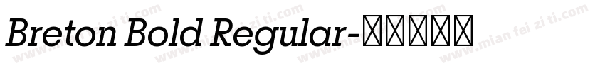 Breton Bold Regular字体转换